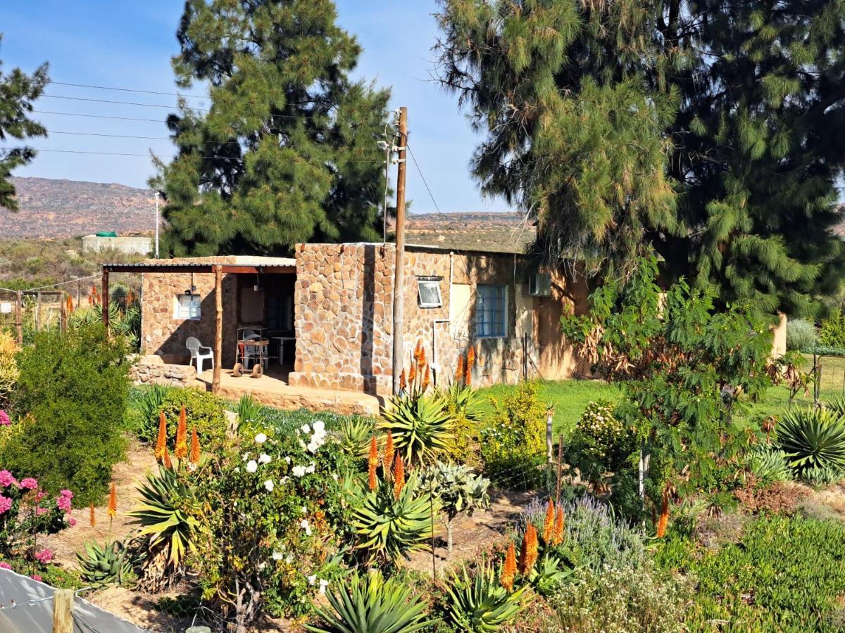 Neels Cottage Clanwilliam Bagian luar foto